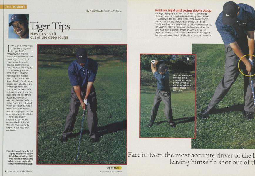 Tiger Tips