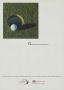 Page: - 93 | Golf Digest