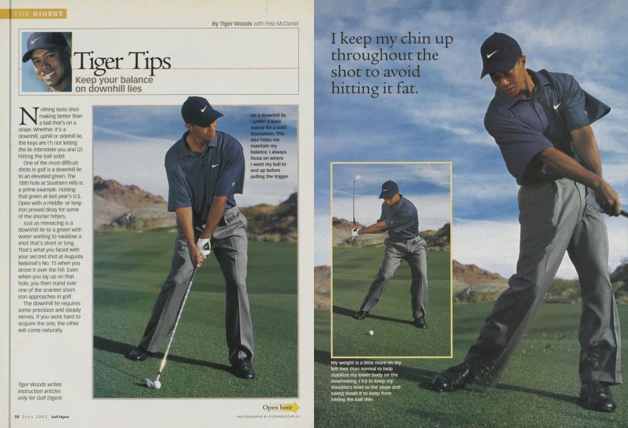 Tiger Tips