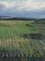 Page: - 113 | Golf Digest