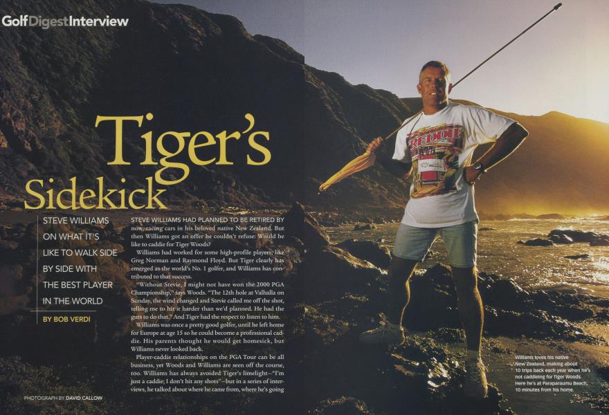 Tiger's Sidekick