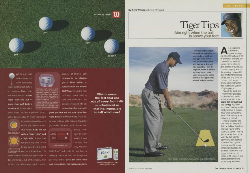 Tiger Tips