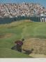 Page: - 134 | Golf Digest
