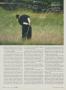 Page: - 136 | Golf Digest