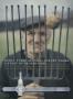 Page: - 86 | Golf Digest