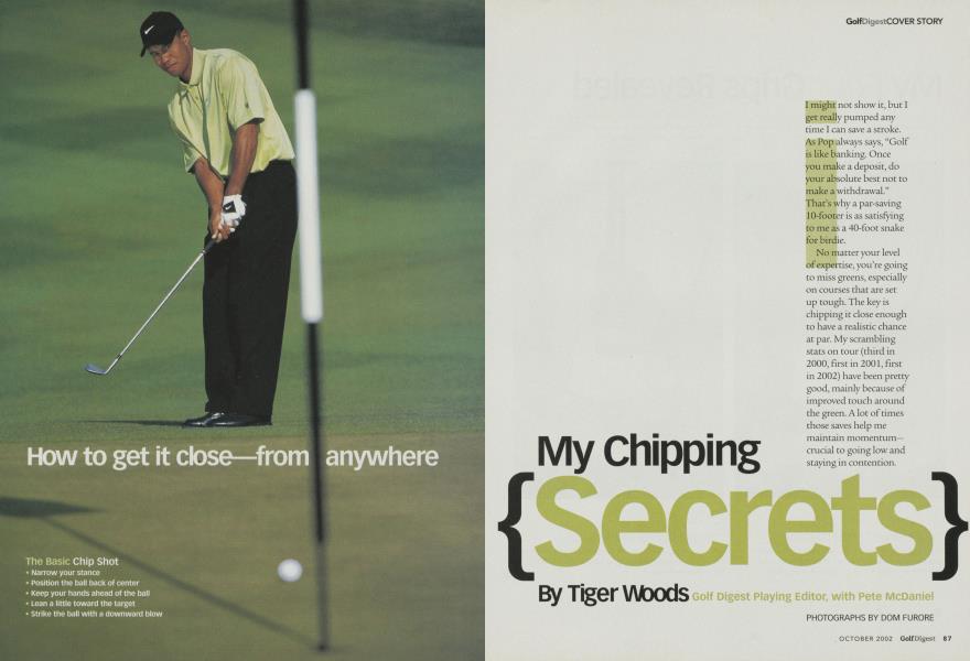 My Chipping Secrets