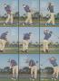 Page: - 27 | Golf Digest