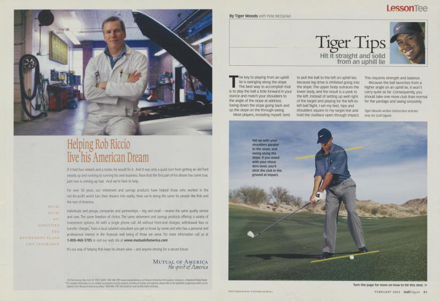 Tiger Tips