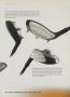 Page: - 161 | Golf Digest