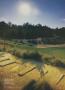 Page: - 204 | Golf Digest