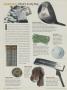 Page: - 250 | Golf Digest