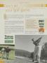 Page: - 252 | Golf Digest