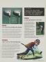 Page: - 57 | Golf Digest