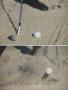 Page: - 119 | Golf Digest