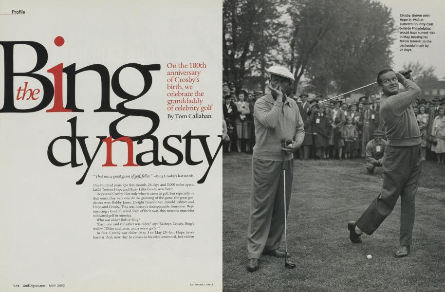 The Bing dynasty