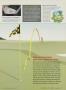 Page: - 167 | Golf Digest