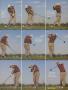 Page: - 31 | Golf Digest