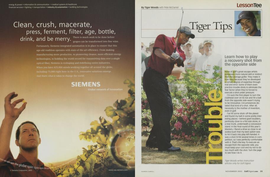 Tiger Tips