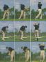 Page: - 35 | Golf Digest