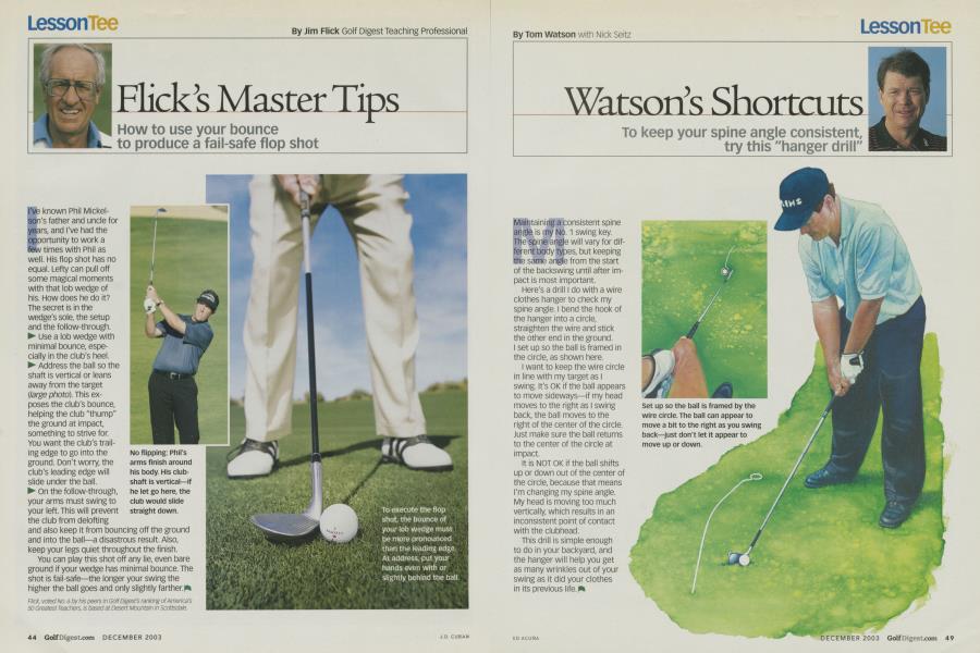 Flick's Master Tips
