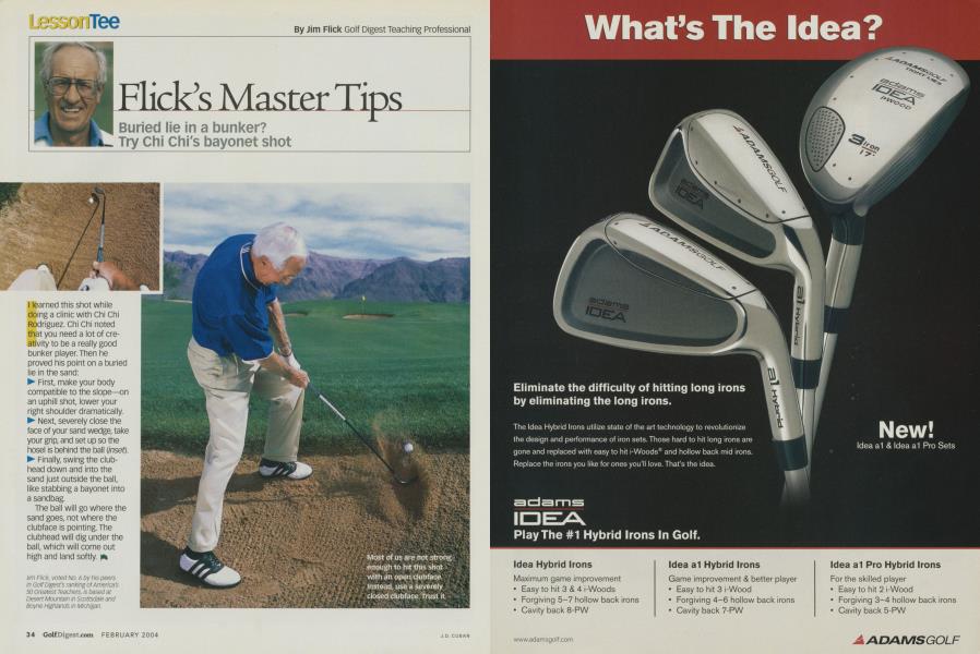 Flick's Master Tips