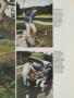 Page: - 113 | Golf Digest