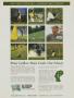 Page: - 135 | Golf Digest