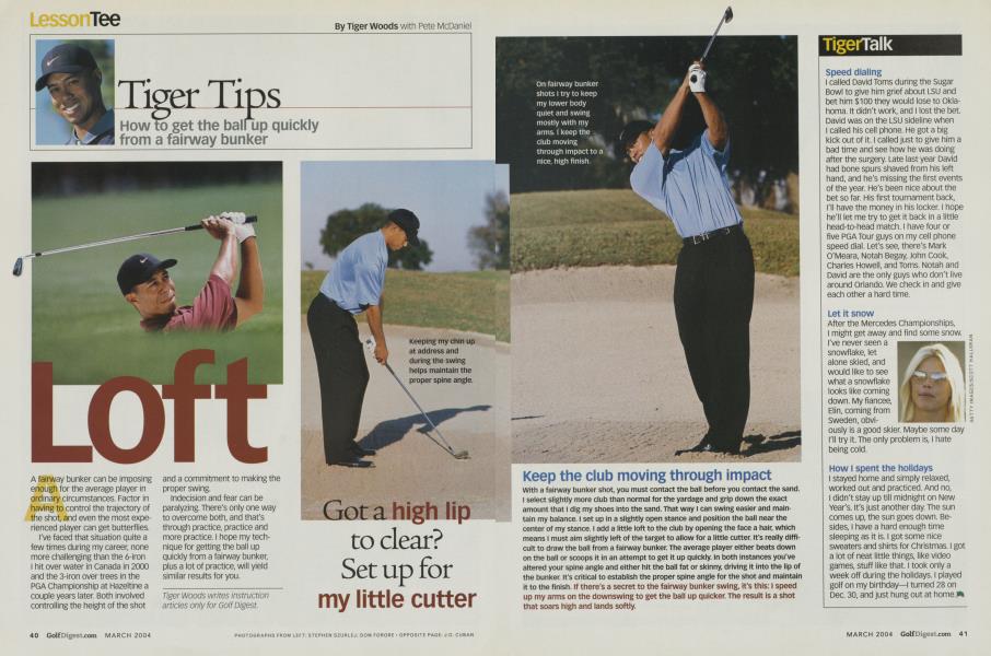 Tiger Tips