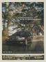 Page: - 237 | Golf Digest
