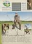 Page: - 253 | Golf Digest
