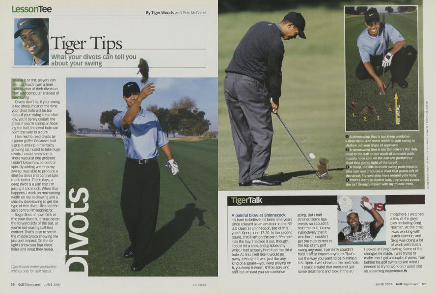 Tiger Tips