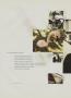 Page: - 22 | Golf Digest