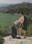 Page: - 85 | Golf Digest