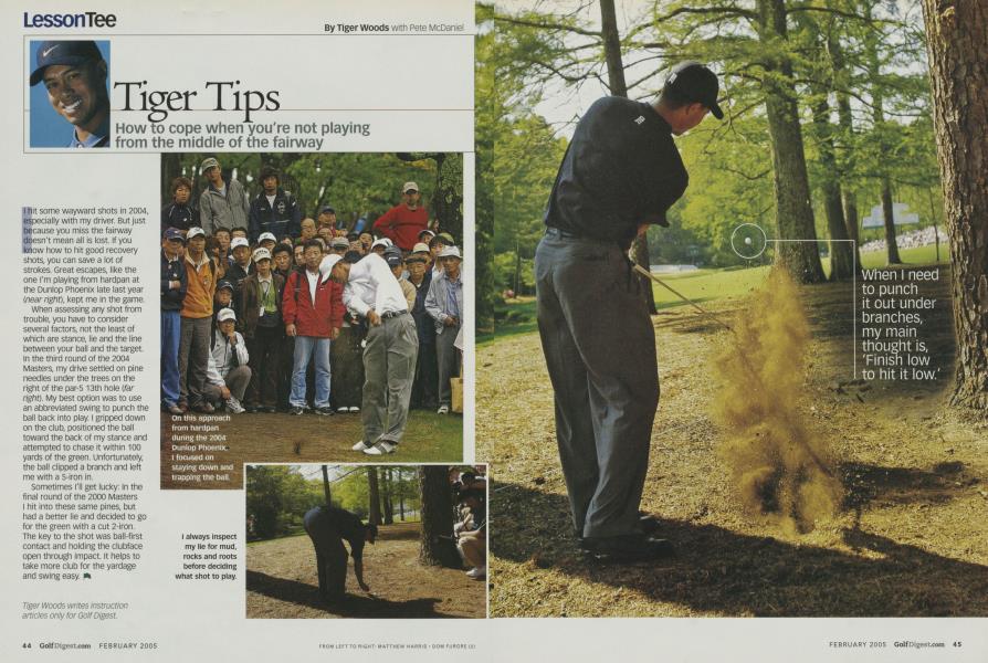 Tiger Tips