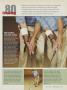 Page: - 207 | Golf Digest