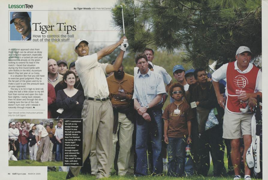Tiger Tips