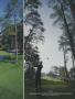 Page: - 175 | Golf Digest