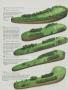 Page: - 183 | Golf Digest