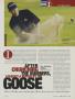 Page: - 225 | Golf Digest