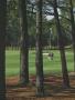 Page: - 267 | Golf Digest