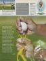 Page: - 319 | Golf Digest