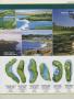 Page: - 53 | Golf Digest