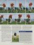 Page: - 163 | Golf Digest