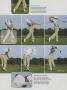 Page: - 32 | Golf Digest