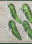 Page: - 140 | Golf Digest