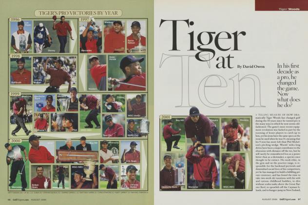 Tiger at Ten