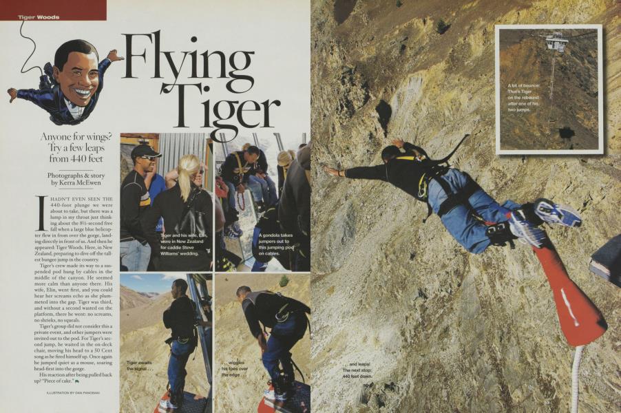 Flying Tiger