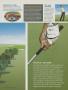 Page: - 189 | Golf Digest