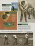 Page: - 89 | Golf Digest