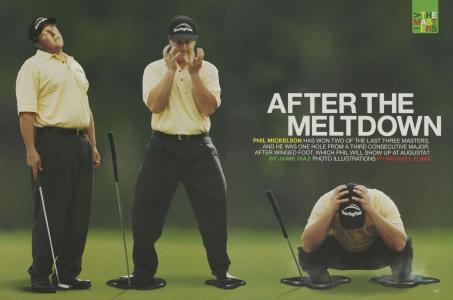 AFTER THE MELTDOWN